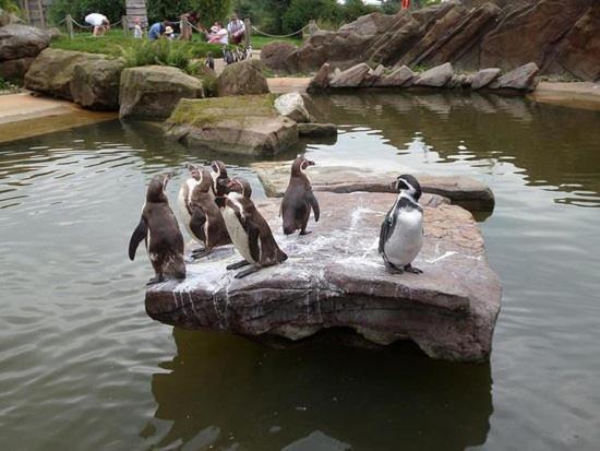 Chic 2 Bed Peak District Cottage Barn Near Alton Towers, Polar Bears, Chatsworth House 利克 外观 照片